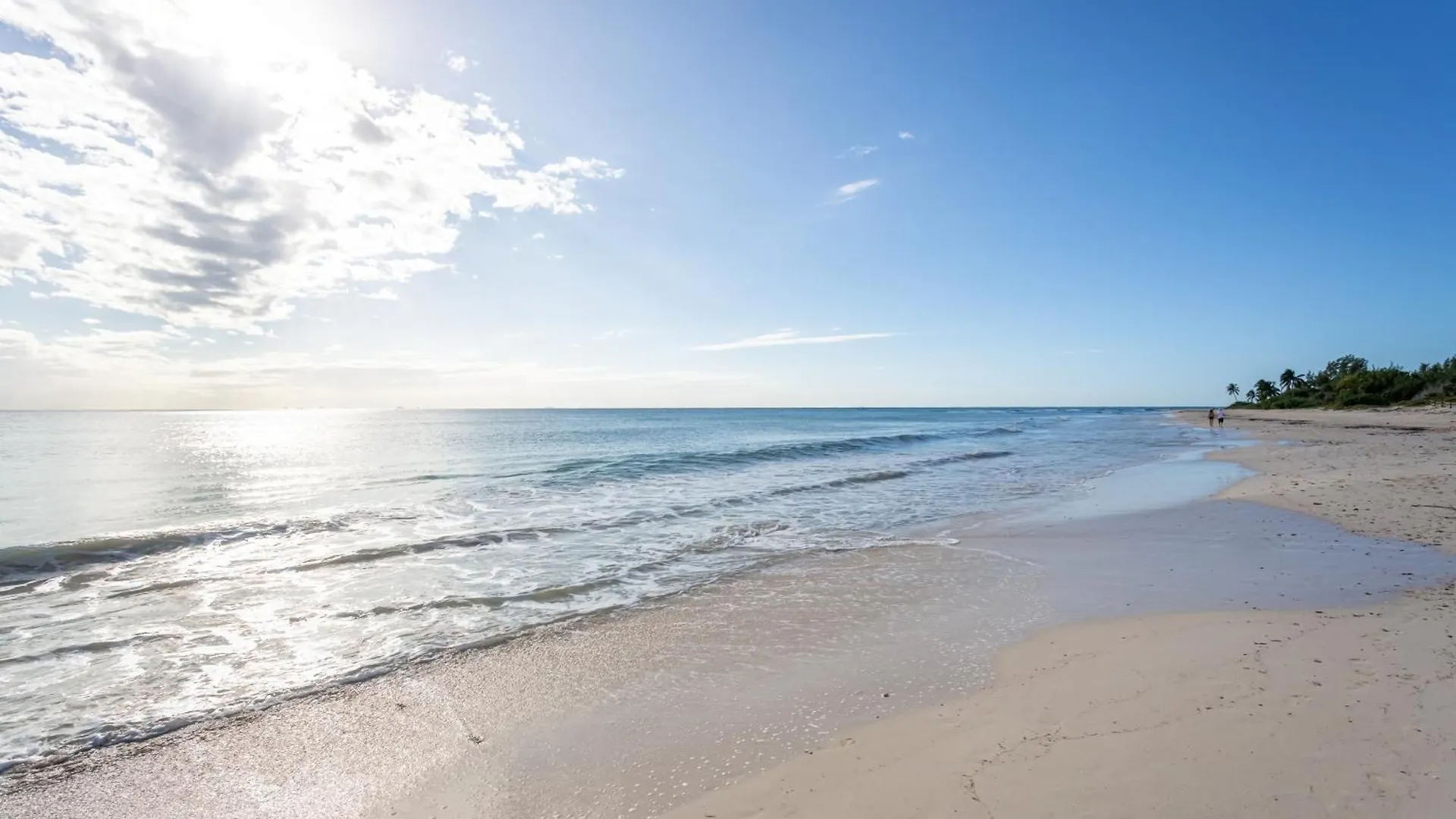 Apartment New !! Casa Miramar Ocean View 325 S Apts Playa del Carmen Mexico