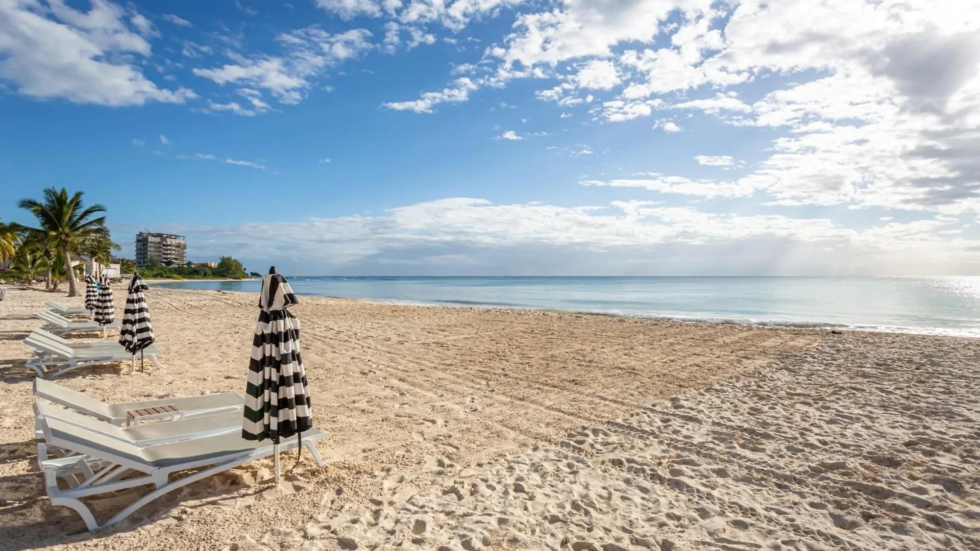 New !! Casa Miramar Ocean View 325 S Apts Playa del Carmen Mexico